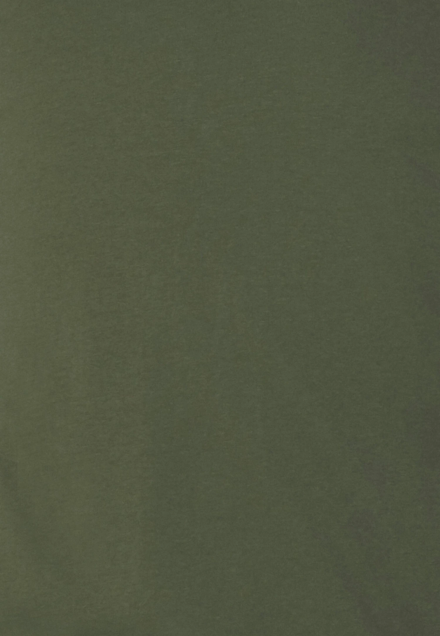 Pier One 2 Pack - Long Sleeved Top - Off-White/Dark Green 8 Pier One 2 Pack - Long Sleeved Top - Off-White/Dark Green - Image 6