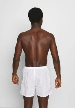 Pier One 5 Pack - Boxer Shorts - Light Blue/White -Pier One 687ef1808b144438a634b5f088762ab1