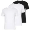 Pier One 3 Pack - Basic T-Shirt -Black/ White 2 Pier One 3 Pack - Basic T-Shirt -Black/ White -Pier One b69b0ec69daa4c8da2ee7d52186771e5